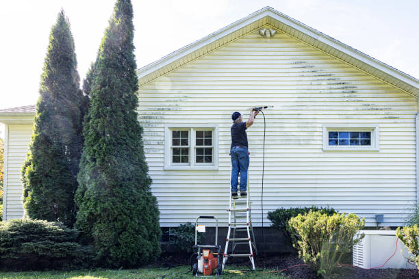 Reliable Larimore, ND Pressure washing Solutions